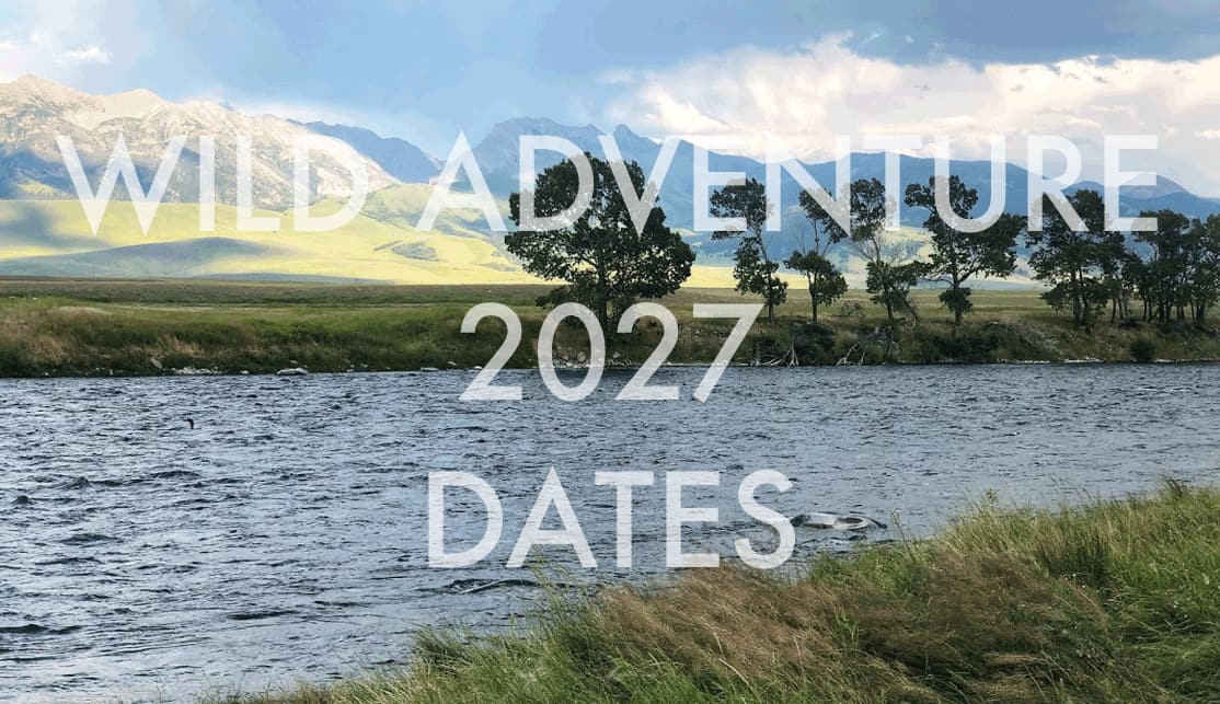 wild adventure