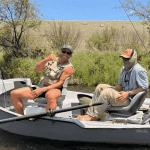 Wild Adventure clips
